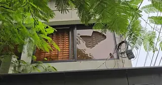 টাঙ্গাইলে বঙ্গবীর কাদের সিদ্দিকীর ‘সোনার বাংলায়’ দুর্বৃত্তদের হামলা